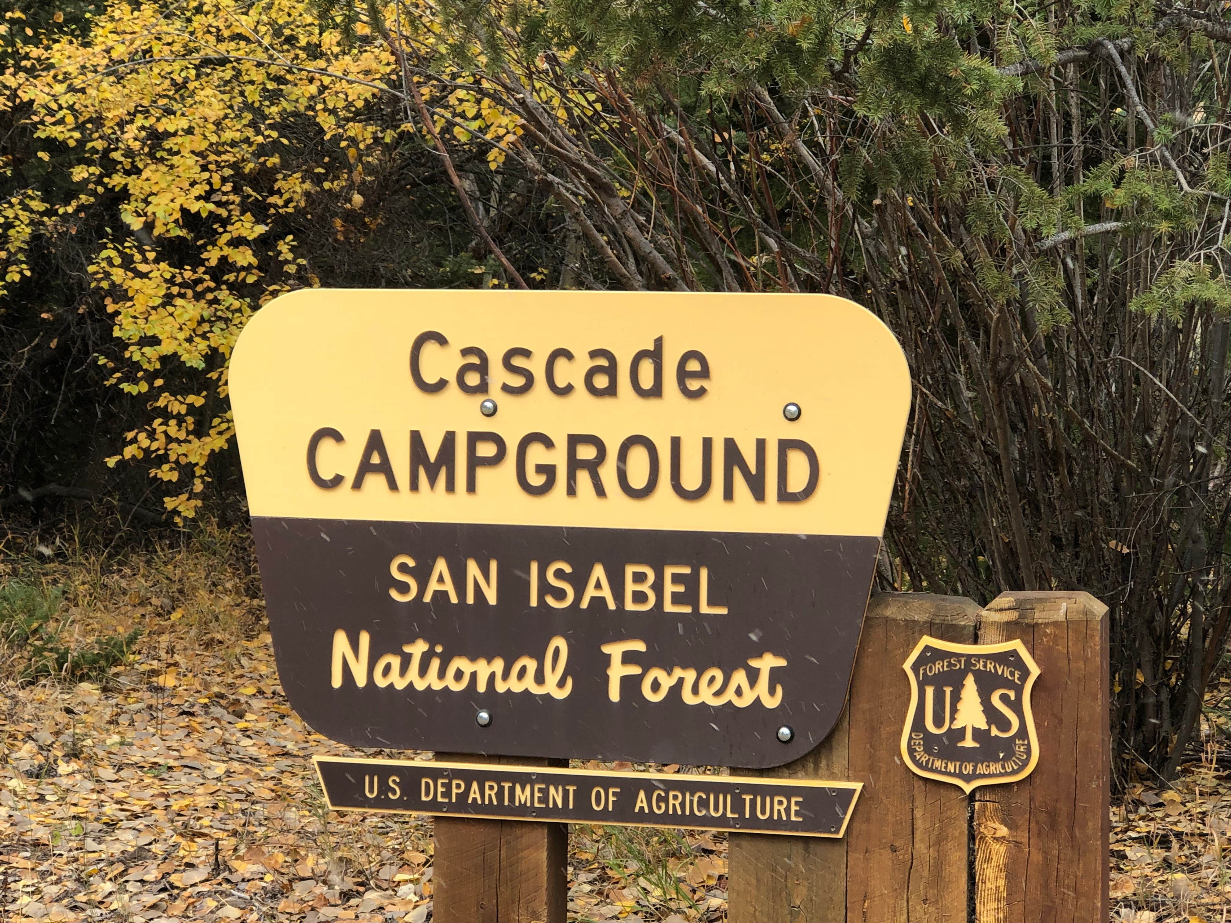 Camper submitted image from Cascade Campground - San Isabel National Forest - 5