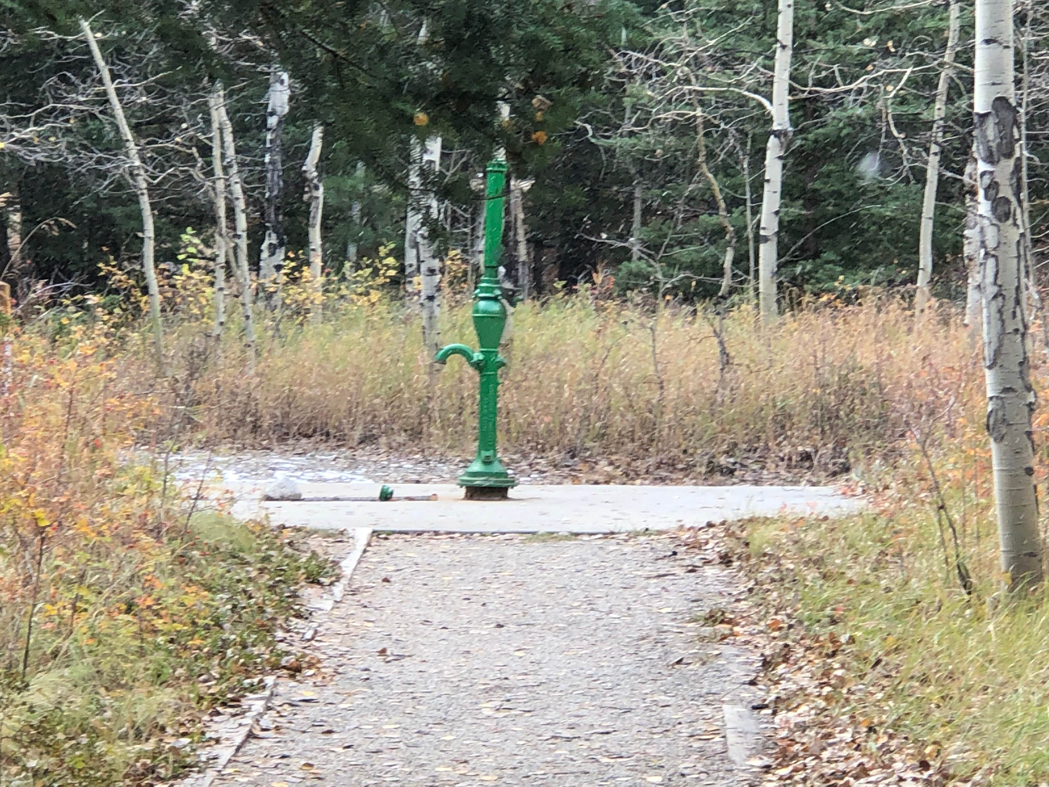 Camper submitted image from Cascade Campground - San Isabel National Forest - 3