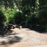 Review photo of Jedidiah Smith Campground — Redwood National Park by Celina M., July 6, 2018