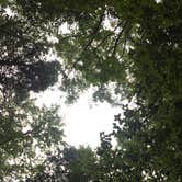 Review photo of Desoto Falls by Savannah C., July 23, 2016
