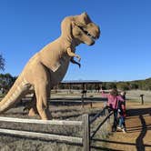 Review photo of Dinosaur Valley State Park — Dinosaur Valley State Park by Alejandro G., October 31, 2021