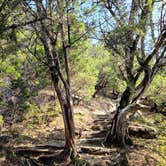 Review photo of Dinosaur Valley State Park — Dinosaur Valley State Park by Alejandro G., October 31, 2021