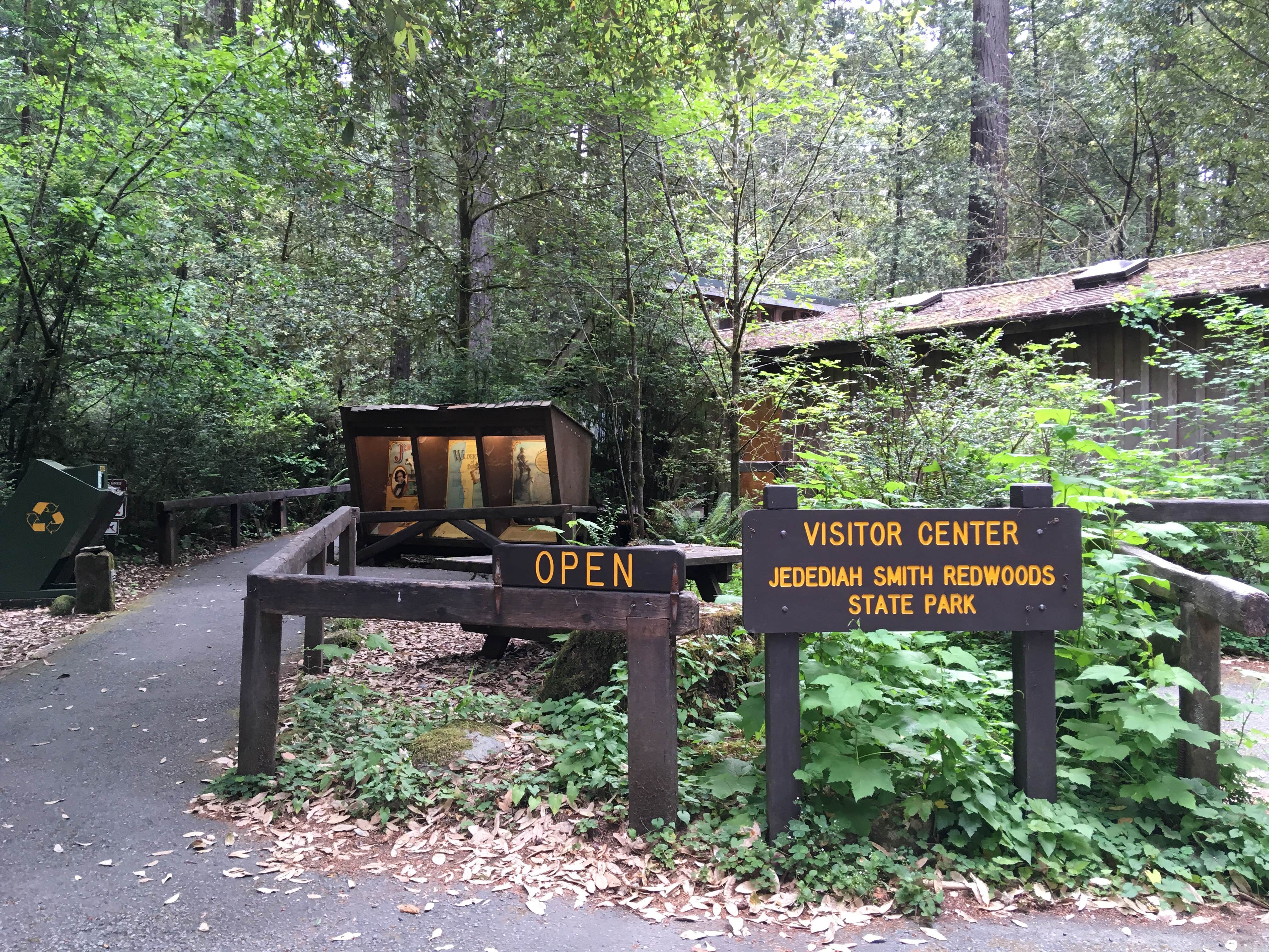 Camper submitted image from Jedidiah Smith Campground — Redwood National Park - 5