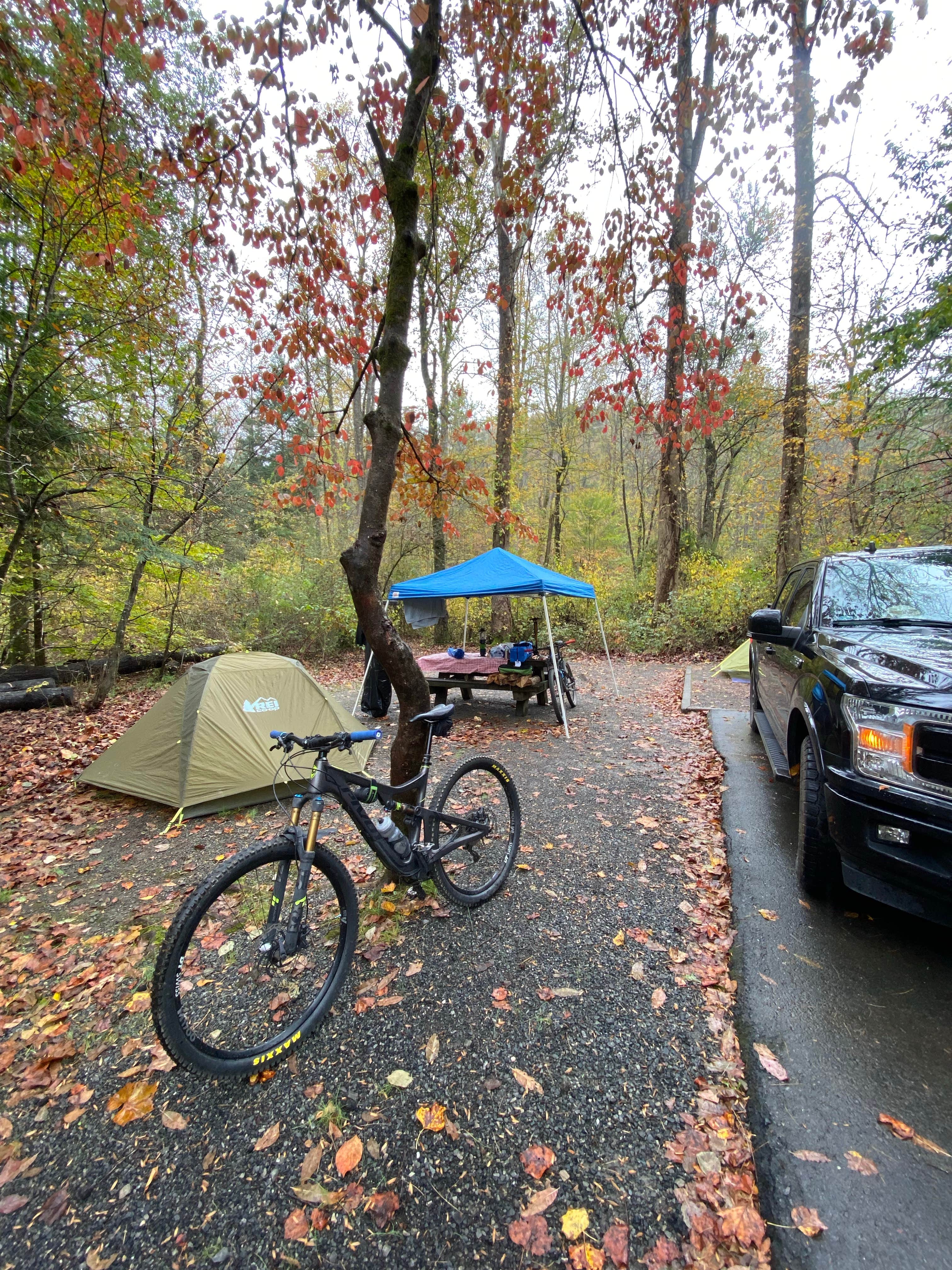Robbie B.'s photo at Pisgah National Forest Davidson River Campground near Brevard, NC