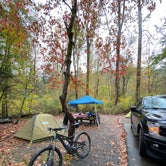 Review photo of Pisgah National Forest Davidson River Campground by Robbie B., October 31, 2021
