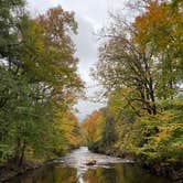 Review photo of Pisgah National Forest Davidson River Campground by Robbie B., October 31, 2021