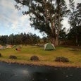 Review photo of Nāmakanipaio Campground — Hawai'i Volcanoes National Park by Alejandro G., October 31, 2021