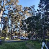 Review photo of Nāmakanipaio Campground — Hawai'i Volcanoes National Park by Alejandro G., October 31, 2021