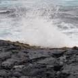 Review photo of Nāmakanipaio Campground — Hawai'i Volcanoes National Park by Alejandro G., October 31, 2021