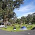 Review photo of Nāmakanipaio Campground — Hawai'i Volcanoes National Park by Alejandro G., October 31, 2021