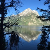 Review photo of Jenny Lake Campground — Grand Teton National Park by Diane N., July 6, 2018