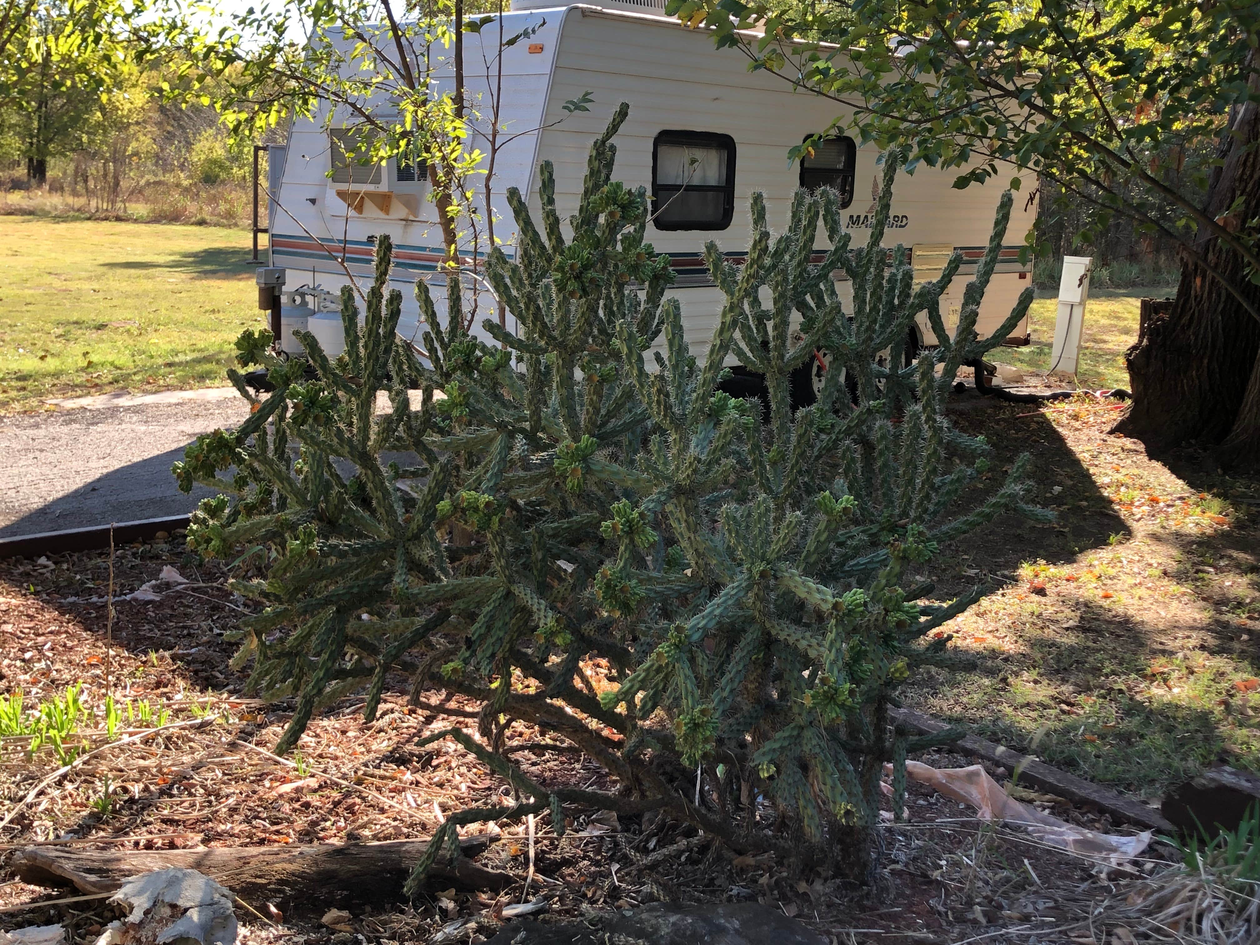 N I.'s photo of rv camping at Moneka Park near Duncan, OK