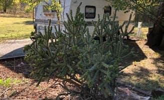 N I.'s photo of rv camping at Moneka Park near Waurika Lake
