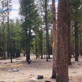 Review photo of Twin Lakes Dispersed Camping - Site 2 West by N I., November 1, 2021