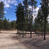 Review photo of Twin Lakes Dispersed Camping - Site 2 West by N I., November 1, 2021