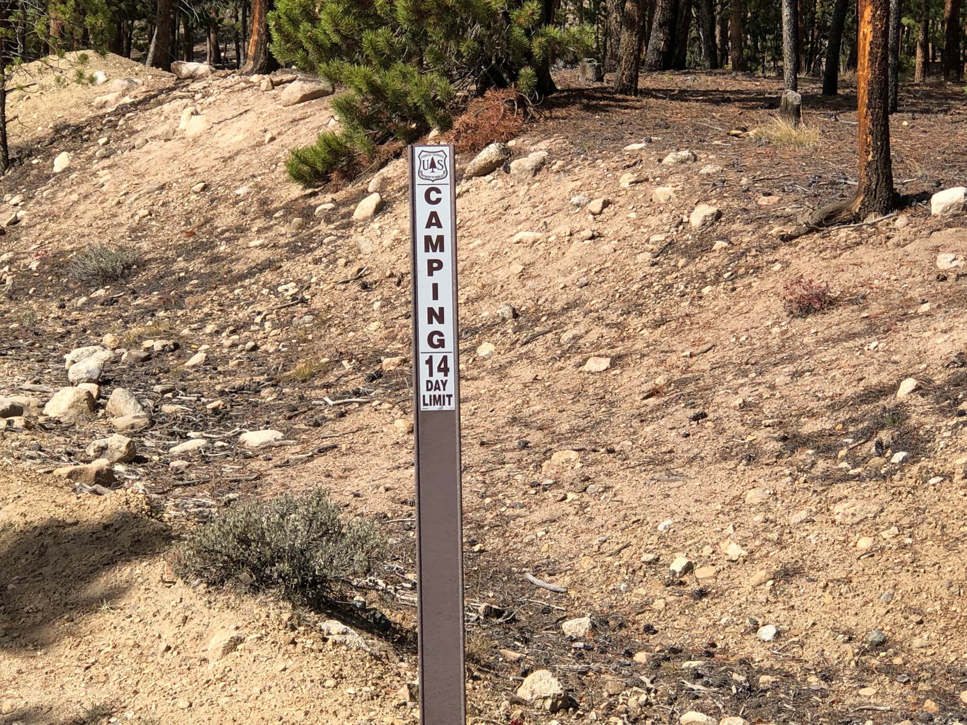 Twin Lakes Dispersed Camping The Dyrt