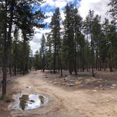 Review photo of Twin Lakes Dispersed Camping - Site 2 West by N I., November 1, 2021