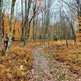 Review photo of Blackwater Falls State Park Campground by Melissa L., November 1, 2021