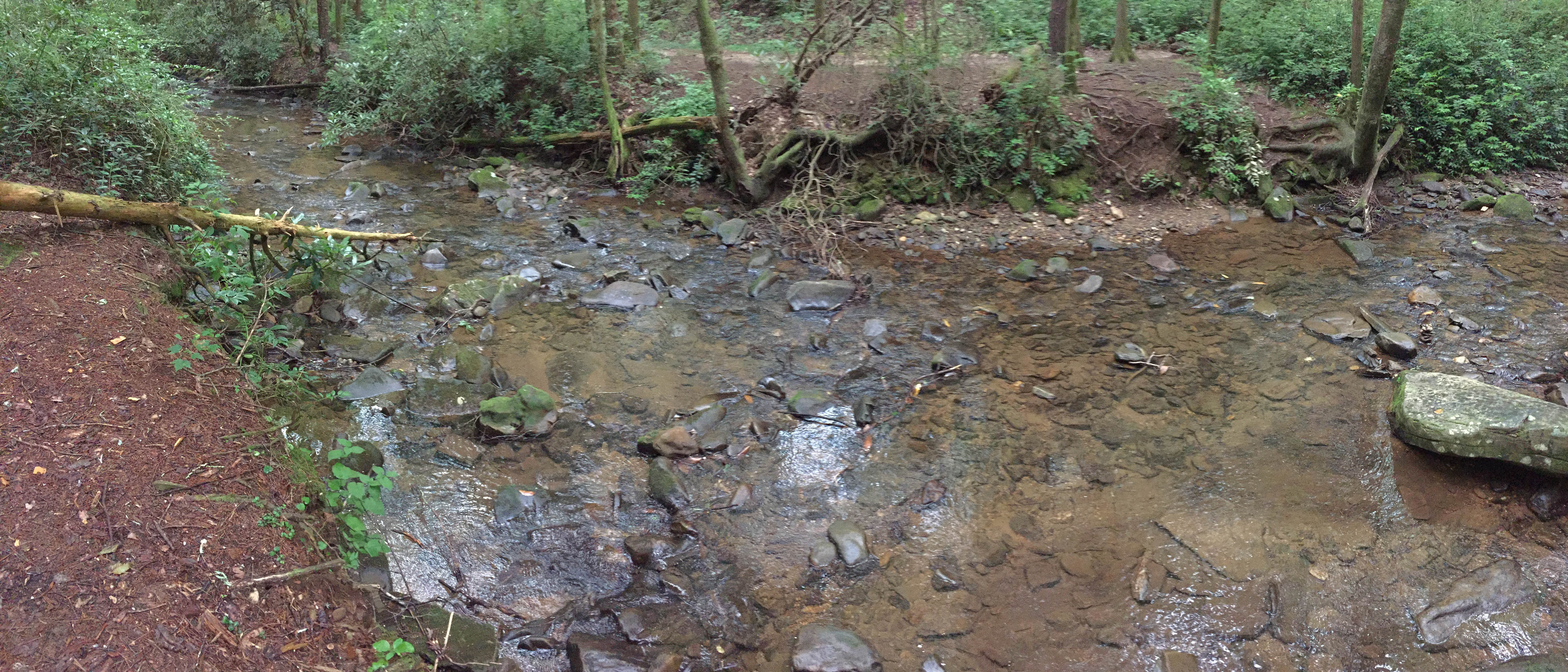 Camper-submitted photo at Desoto Falls near Dahlonega, GA