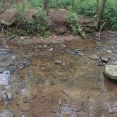 Review photo of Desoto Falls by Savannah C., July 23, 2016