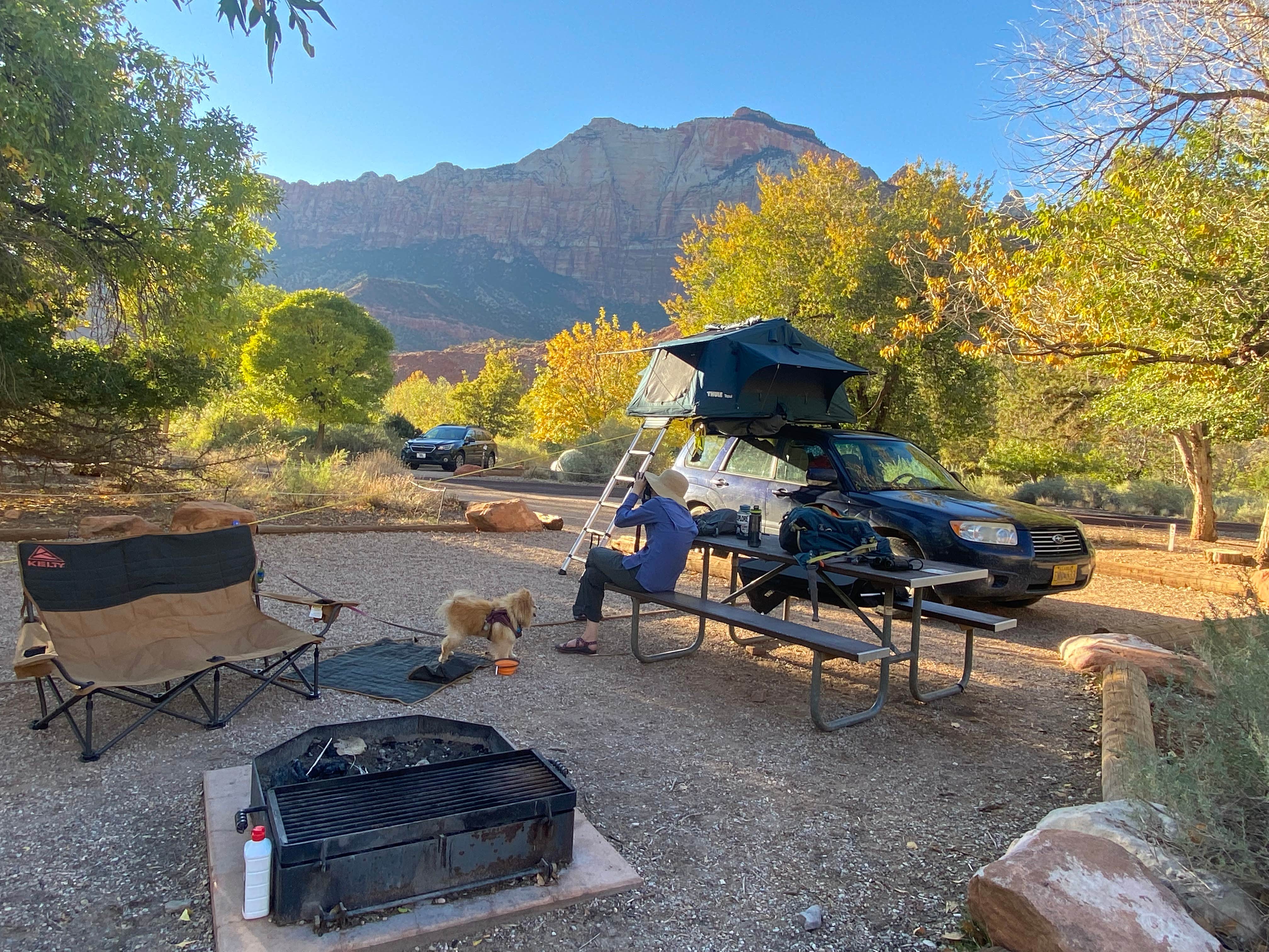 Eric L.'s photo of camping with pets at Watchman Campground — Zion National Park near St. George, UT