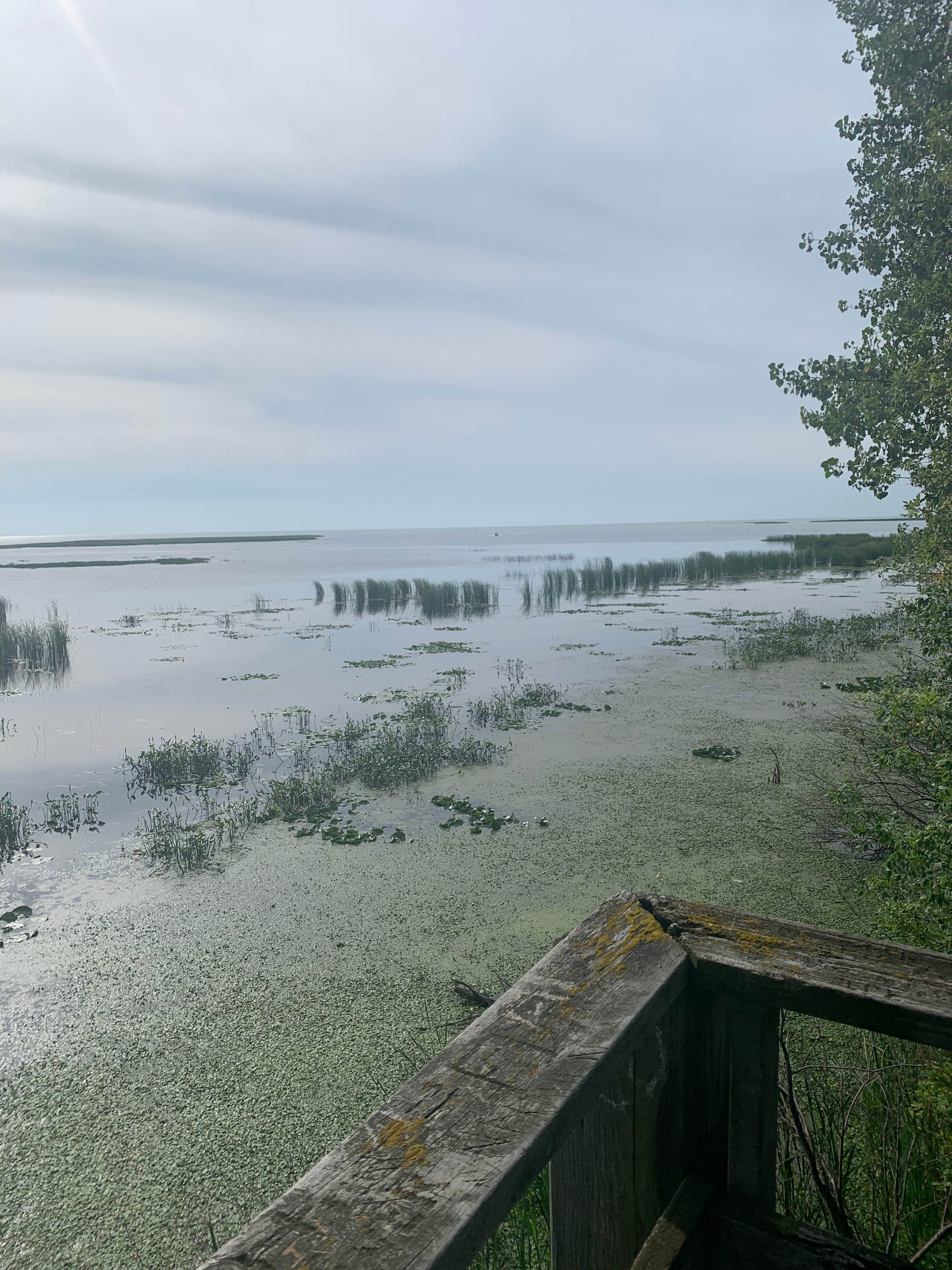 Camper-submitted photo at Pinconning County Park near Au Gres, MI
