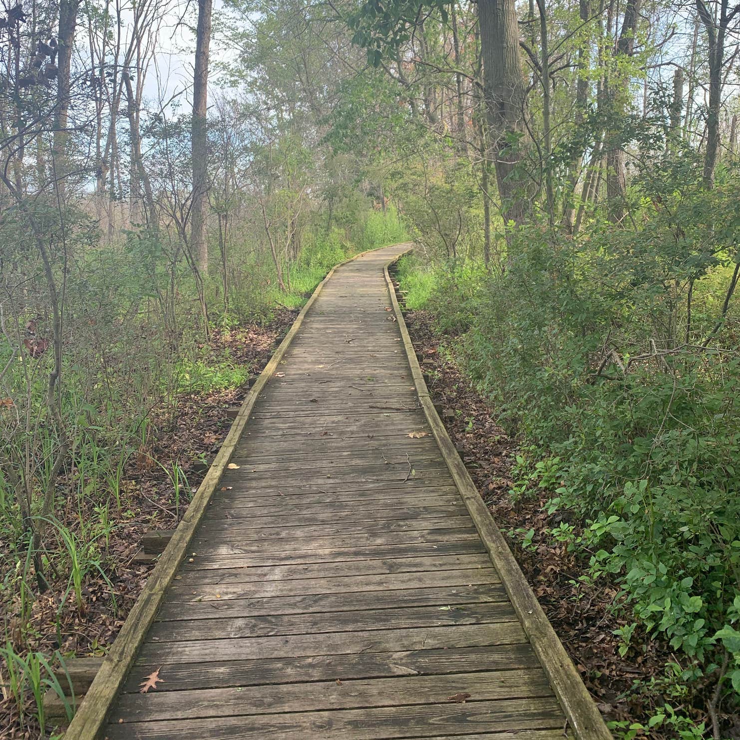 Pinconning County Park Camping The Dyrt