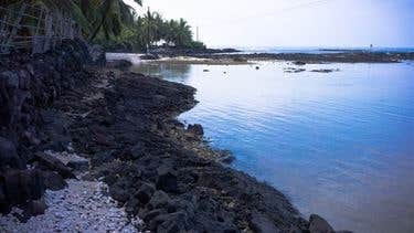 Camper submitted image from Hawaii County Park Miloli'i Beach Campground - 3