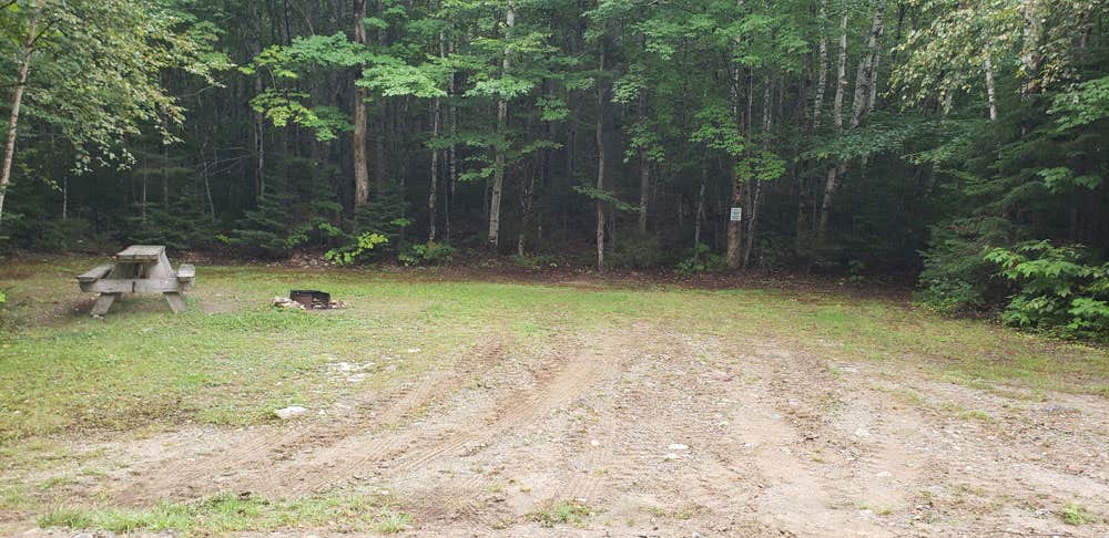 Camper submitted image from Johnston Pond in KIJO Mary Forest - 5