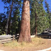 Review photo of Azalea Campground — Kings Canyon National Park by Laura F., July 6, 2018