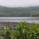 Review photo of Johnston Pond in KIJO Mary Forest by Jean C., November 1, 2021