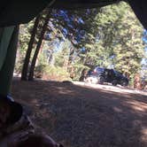 Review photo of Azalea Campground — Kings Canyon National Park by Laura F., July 6, 2018