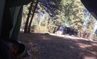 Laura F.'s photo at Azalea Campground — Kings Canyon National Park near Badger, CA