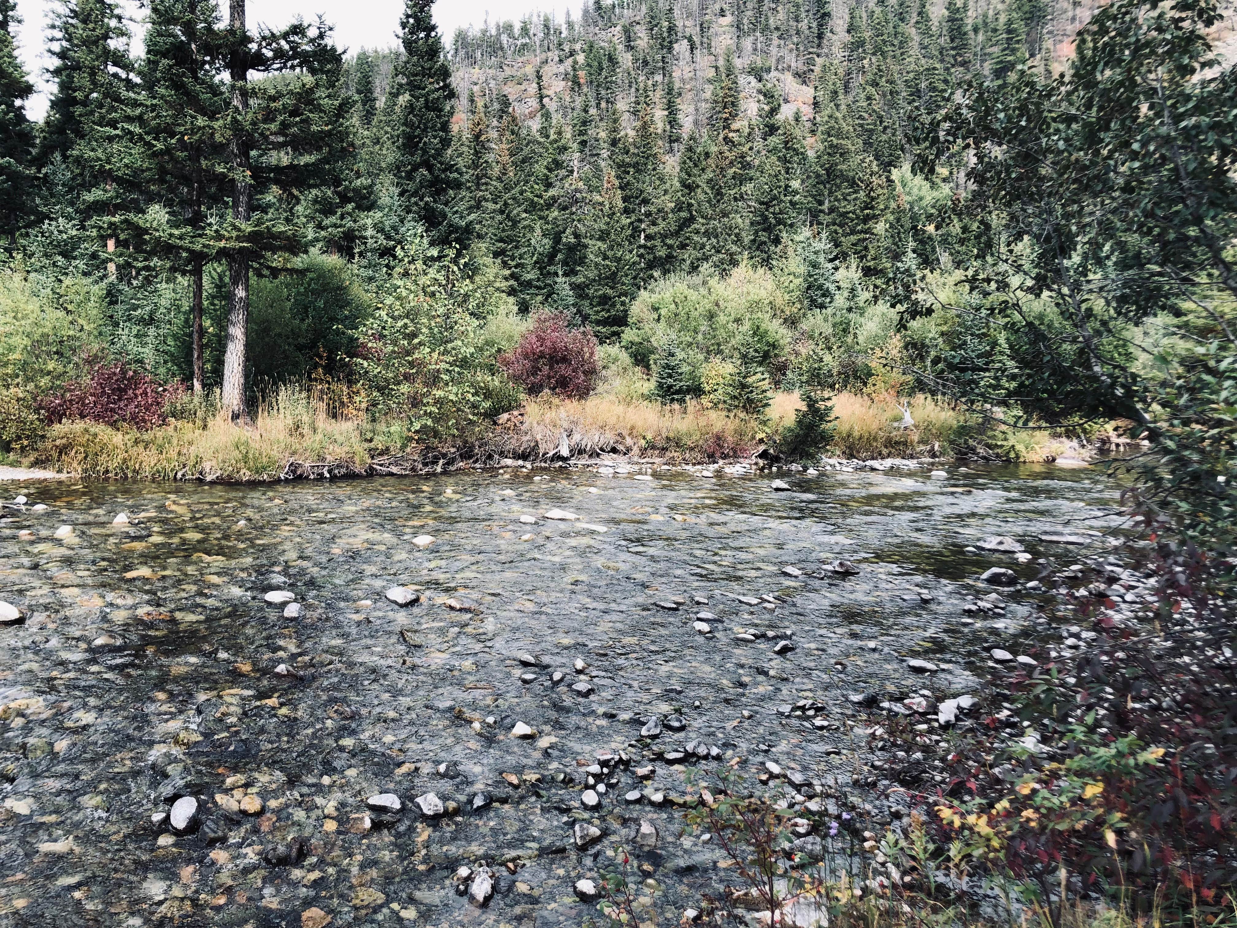 Camper submitted image from East Boulder Campground - 4