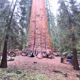 Review photo of Azalea Campground — Kings Canyon National Park by Laura F., July 6, 2018