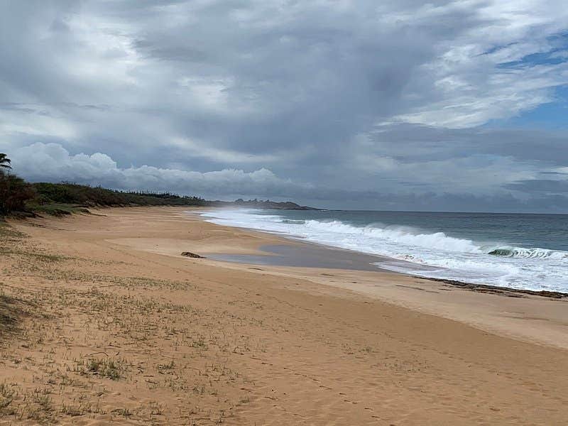 Camper submitted image from Maui County Park Papohaku Beach Campground - 1