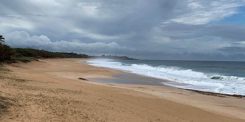 Camper submitted image from Maui County Park Papohaku Beach Campground
