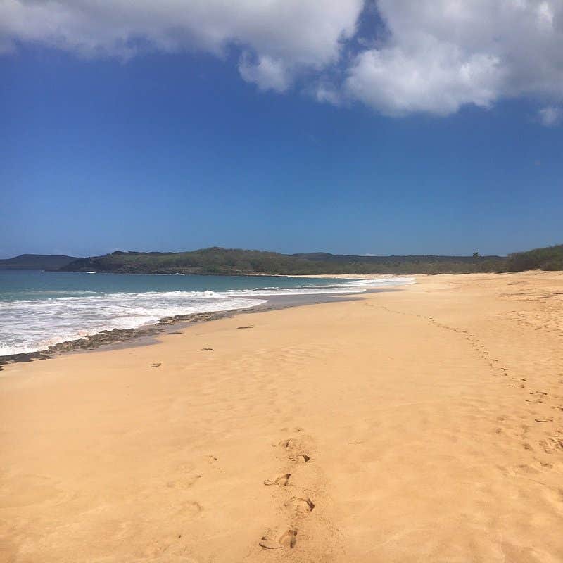 Camper submitted image from Maui County Park Papohaku Beach Campground - 3