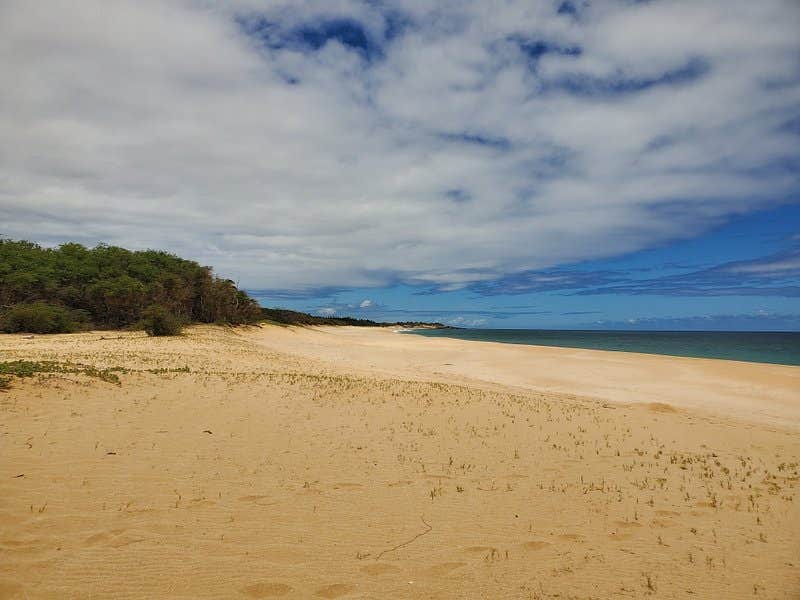 Camper submitted image from Maui County Park Papohaku Beach Campground - 2