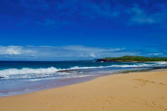 Camper-submitted photo at Maui County Park Papohaku Beach Campground near Waimalu, HI
