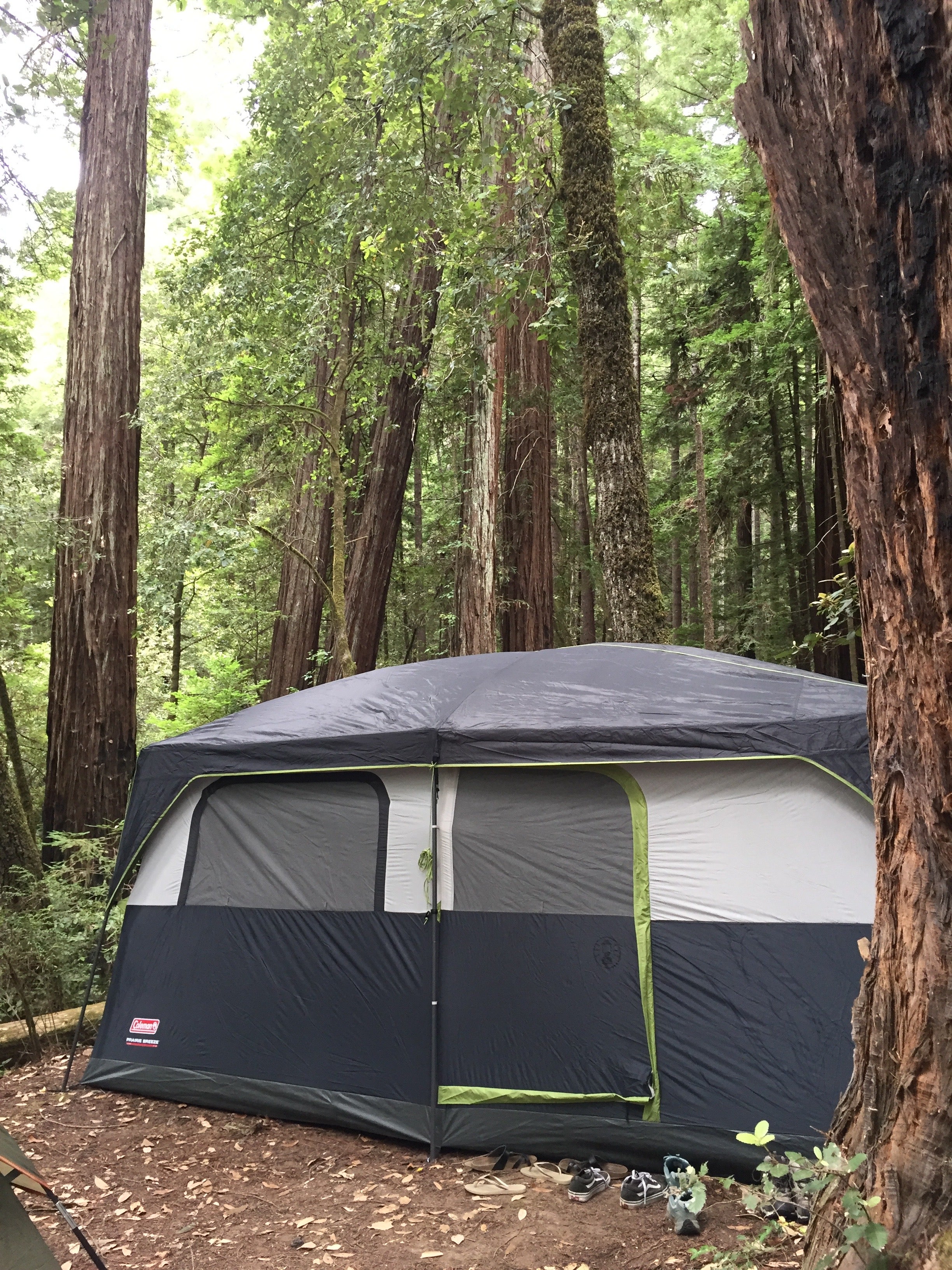 Camper submitted image from Baxter Environmental Camp — Humboldt Redwoods State Park - 1