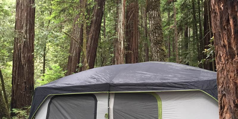Camper submitted image from Baxter Environmental Camp — Humboldt Redwoods State Park