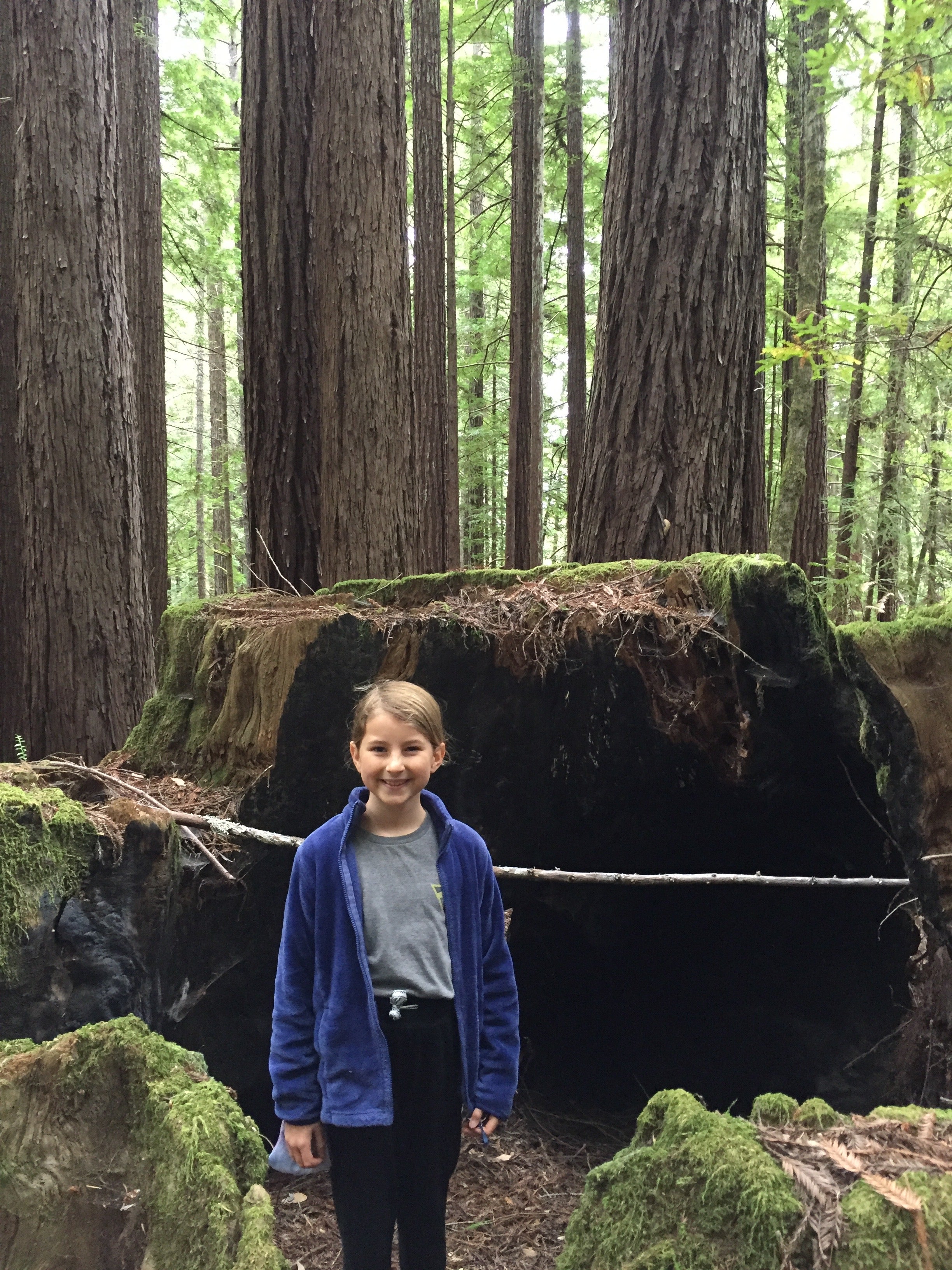 Camper submitted image from Baxter Environmental Camp — Humboldt Redwoods State Park - 3