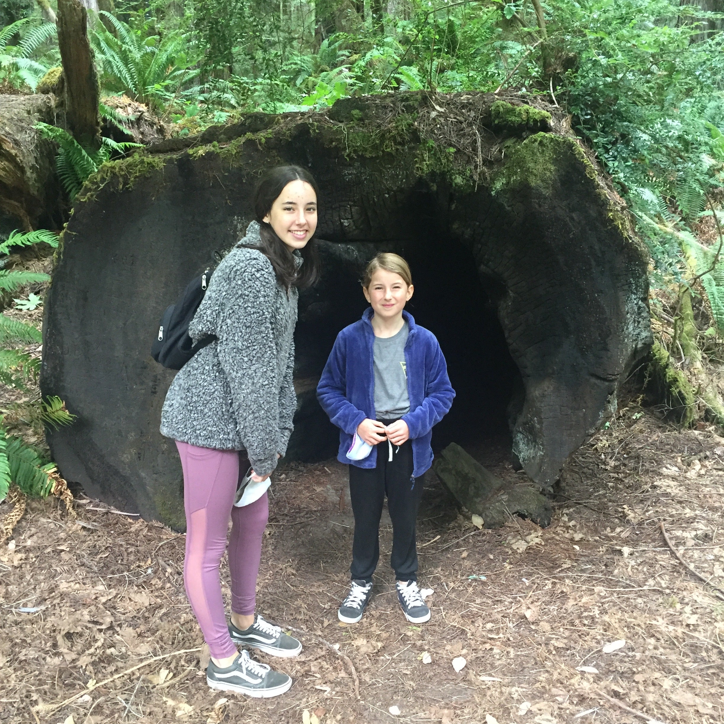 Camper submitted image from Baxter Environmental Camp — Humboldt Redwoods State Park - 2