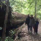 Review photo of Baxter Environmental Camp — Humboldt Redwoods State Park by Stuart K., November 1, 2021