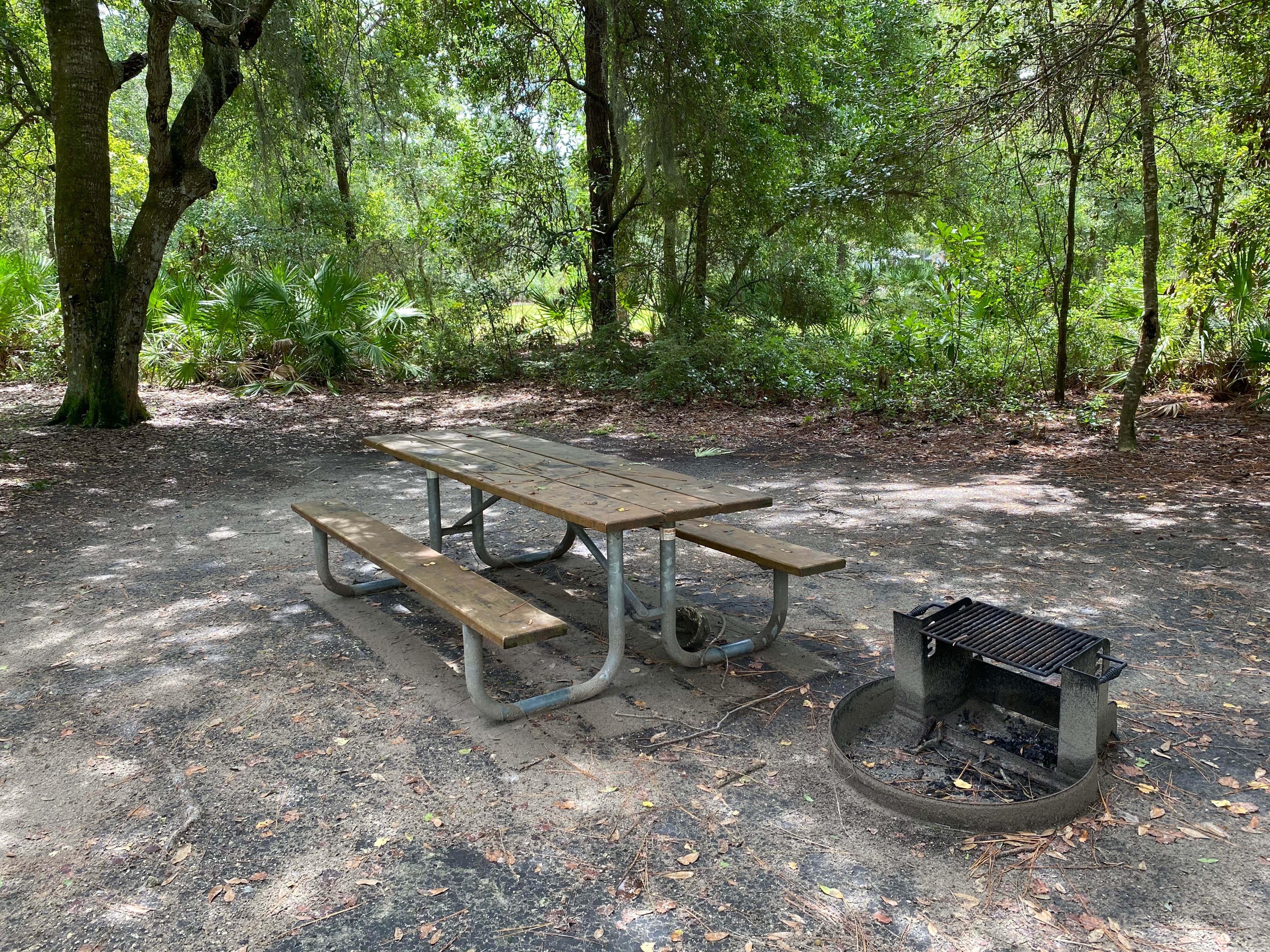 Camper-submitted photo at Bull Falls Campground — Bluestone Lake Wildlife Management Area near Nimitz, WV