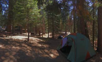 Laura F.'s photo at Azalea Campground — Kings Canyon National Park near Hume, CA