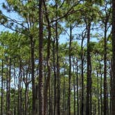 Review photo of Bull Falls Campground — Bluestone Lake Wildlife Management Area by Stuart K., November 1, 2021