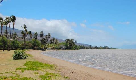 Camper submitted image from Maui Hawaii County Park One Ali'i Campground - 1