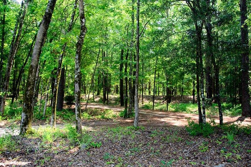 Camper-submitted photo at Family Time Campground near Sneads, FL